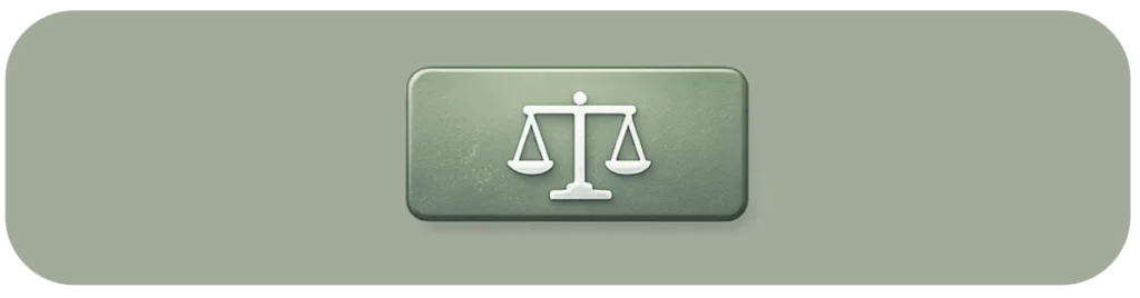 Weerbaarheid: Voorbereid zijn in een Kwetsbare en Hyperverbonden Samenleving 8 Weerbaarheid is ook institutionele en democratische stabiliteit.