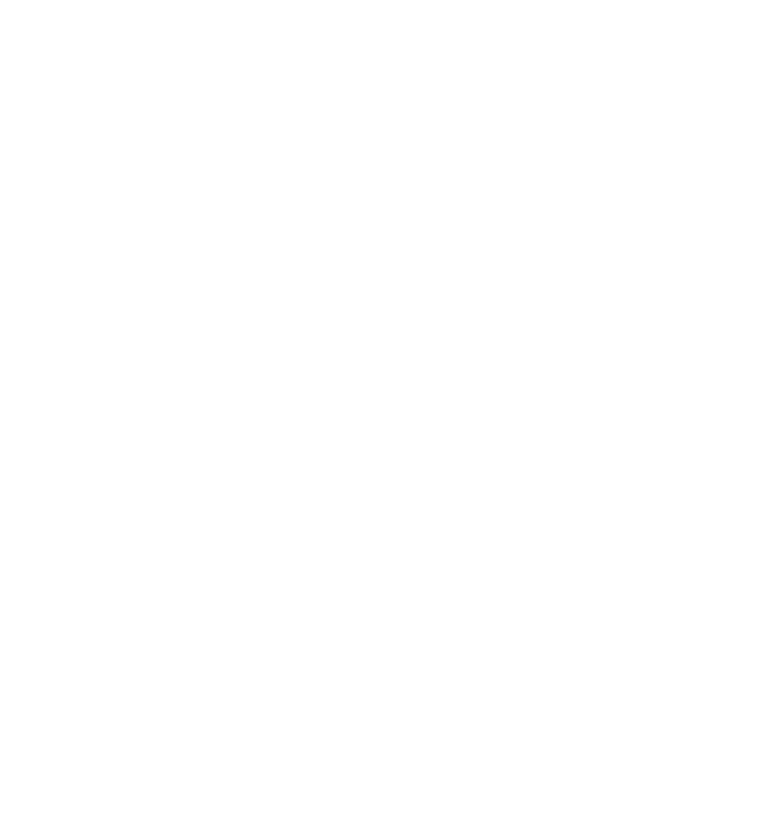 Zwarte witte Zwaan Onzekerheidskunde